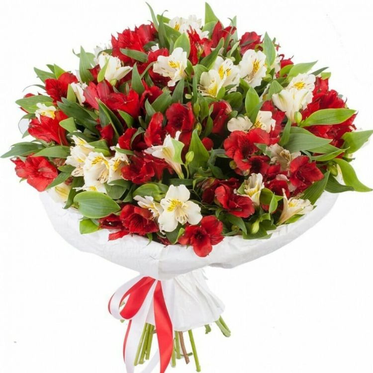 Миг от 4 280 руб.